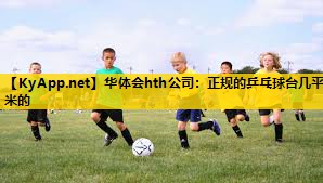 正规的乒乓球台几平米的 正规的乒乓球台几平米的