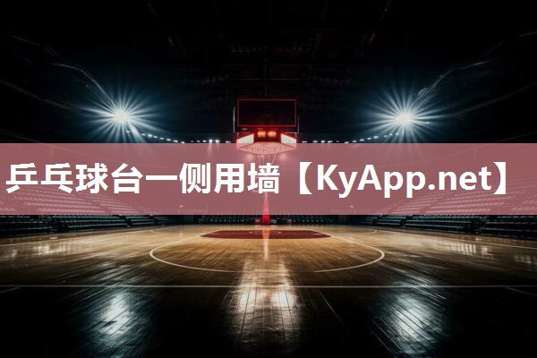 乒乓球台一侧用墙 乒乓球台一侧用墙