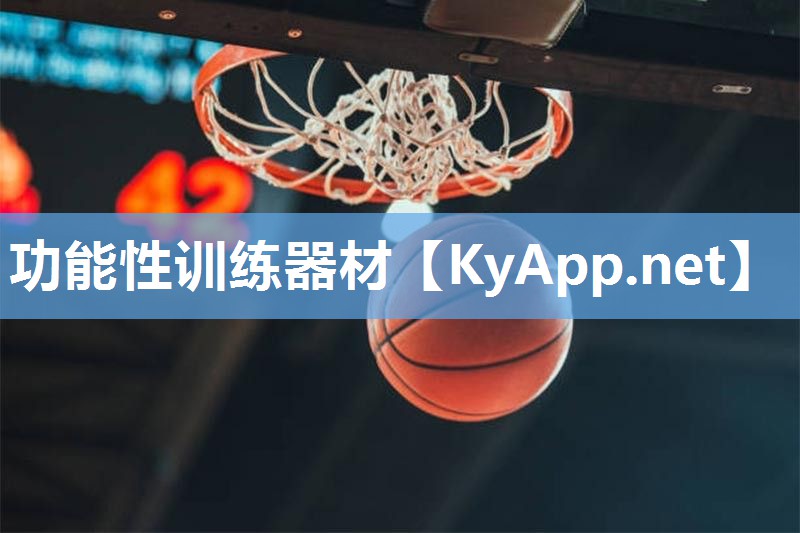 功能性训练器材 功能性训练器材