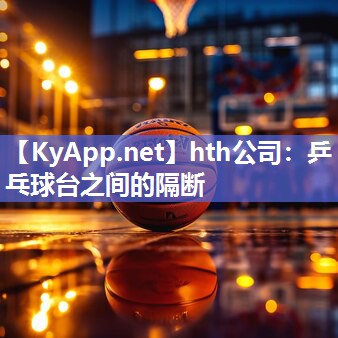 乒乓球台之间的隔断 乒乓球台之间的隔断