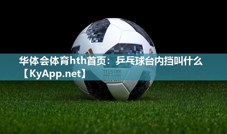 乒乓球台内挡叫什么 乒乓球台内挡叫什么