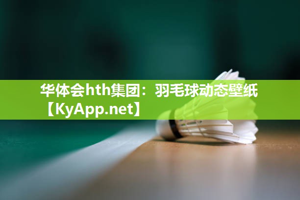 羽毛球动态壁纸 羽毛球动态壁纸